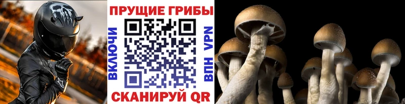 Галлюциногенные грибы MAGIC MUSHROOMS купить наркотик Вышний Волочёк